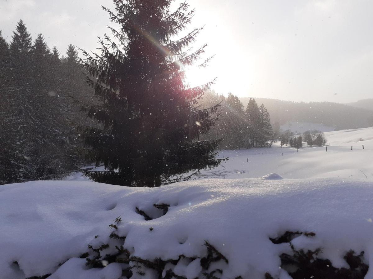 Appartements Und Ferienhaus Gasthof Kanzlersgrund Oberhof  Esterno foto